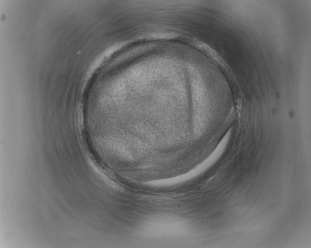 X0000071760726200607282147