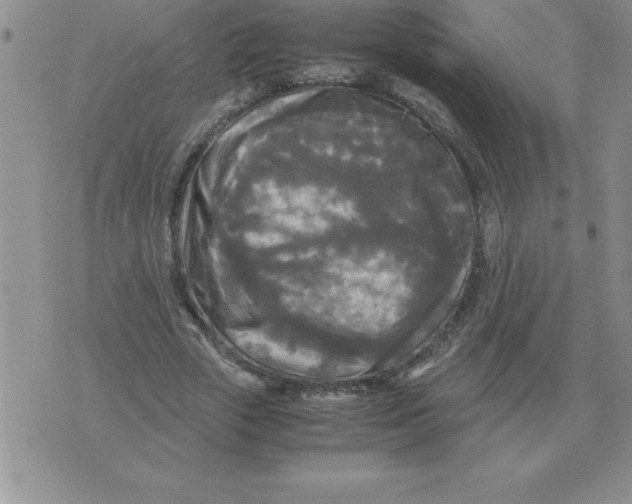 X0000071760729200607282147