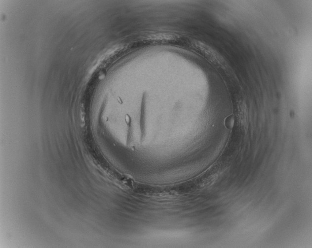 X0000071760731200607282147