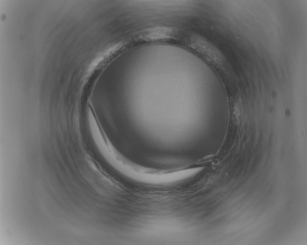 X0000071760732200607282147