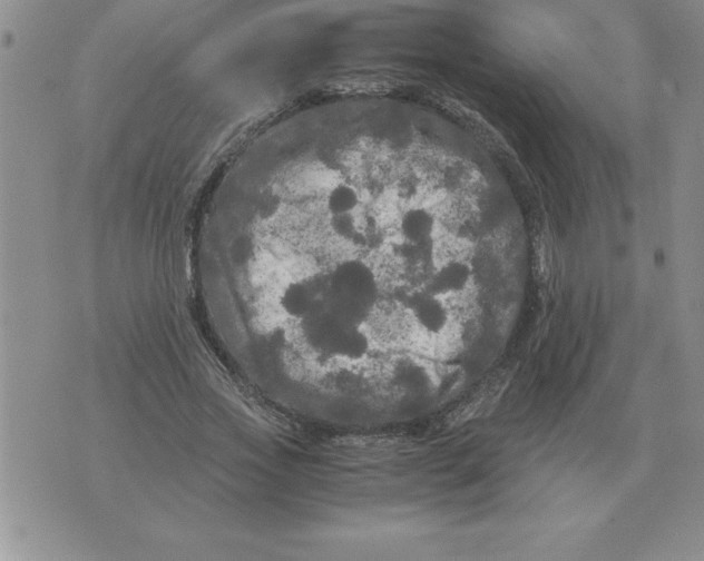 X0000071760733200607282147