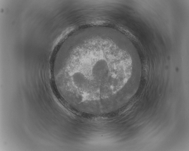 X0000071760734200607282147