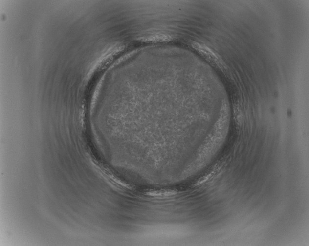 X0000071760735200607282147