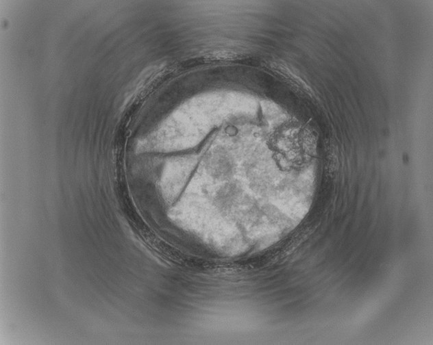 X0000071760738200607282147