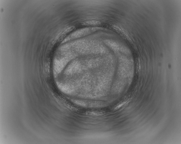 X0000071760739200607282147