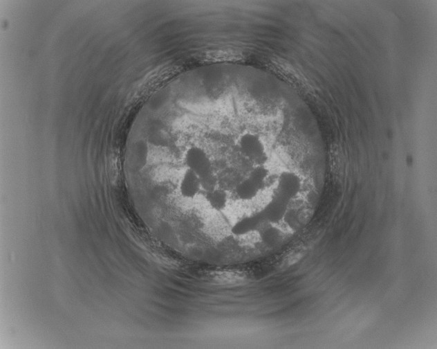 X0000071760741200607282147