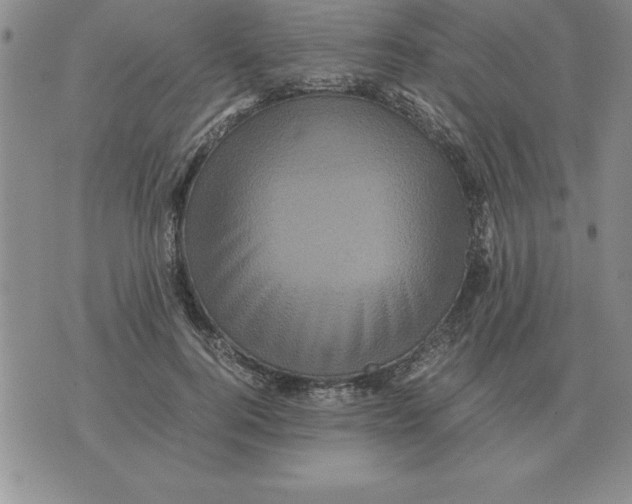 X0000071760744200607282147