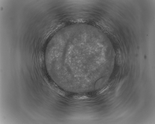 X0000071760747200607282147