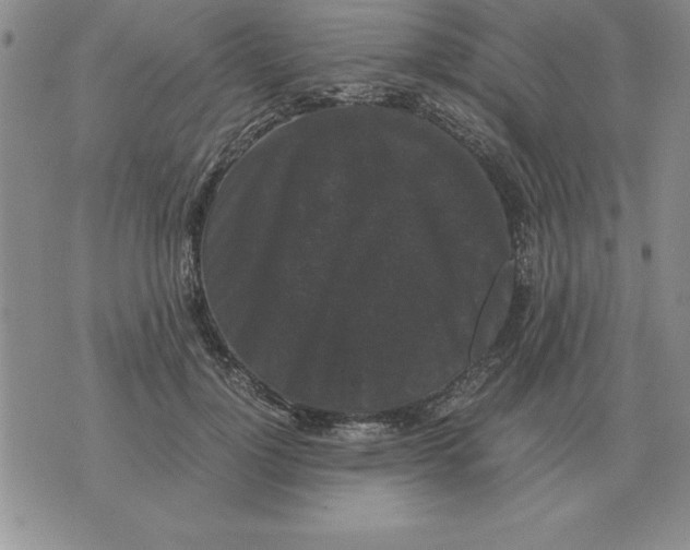 X0000071760748200607282147