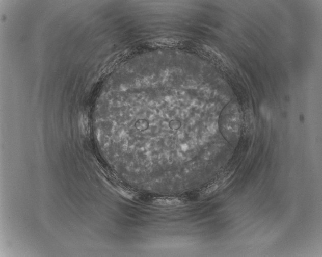 X0000071760749200607282147