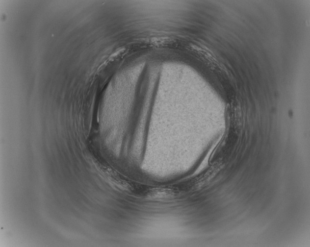 X0000071760750200607282147