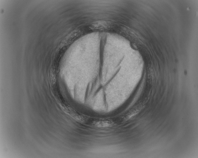 X0000071760751200607282147