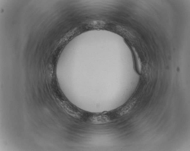 X0000071760752200607282147