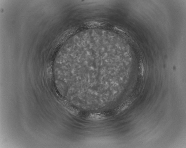 X0000071760753200607282147