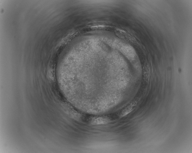 X0000071760755200607282147