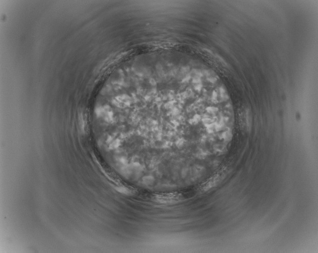 X0000071760757200607282147