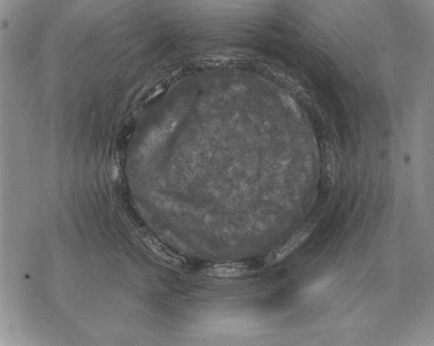 X0000071760758200607282147