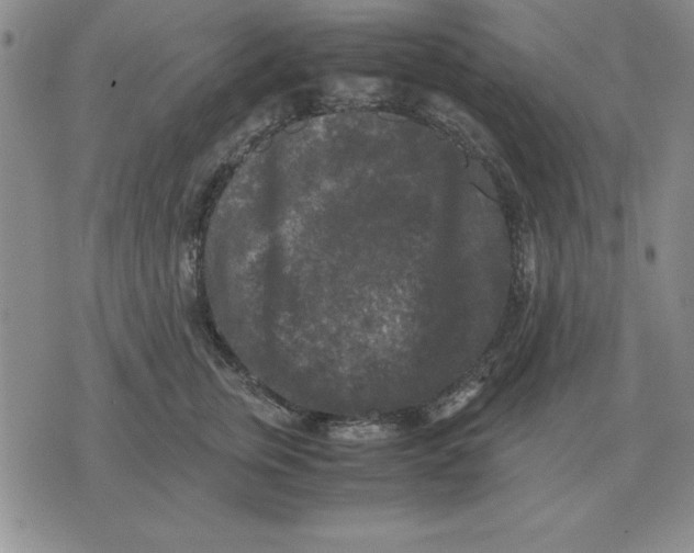 X0000071760759200607282147