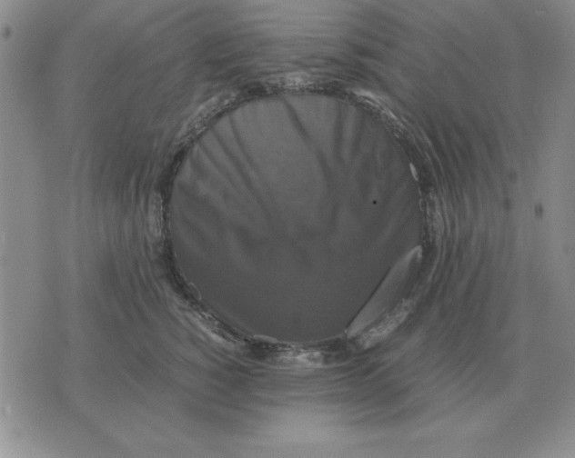 X0000071760760200607282147