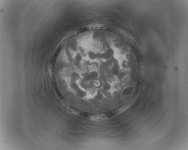 X0000071760761200607282147