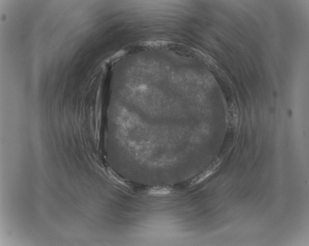 X0000071760762200607282147