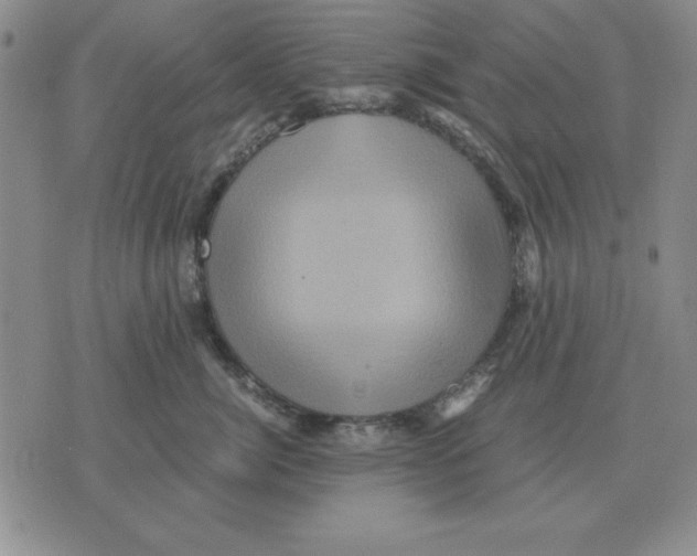 X0000071760764200607282147