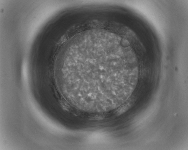 X0000071760765200607282147