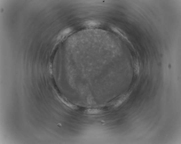 X0000071760766200607282147