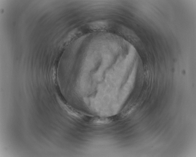 X0000071760767200607282148