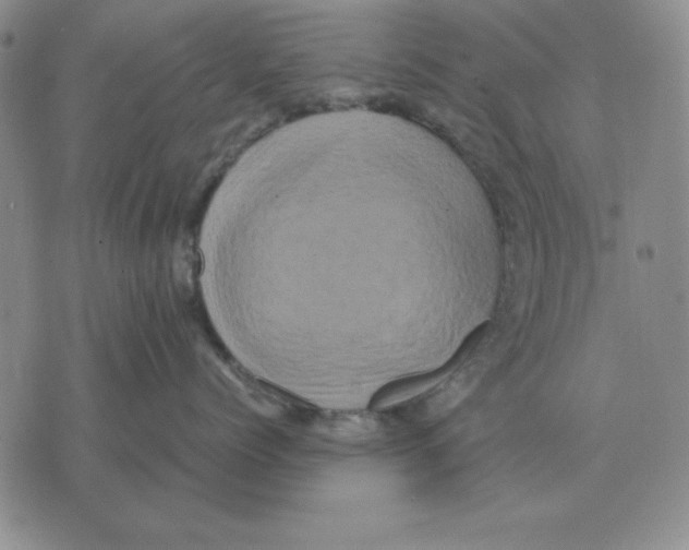 X0000071760768200607282148