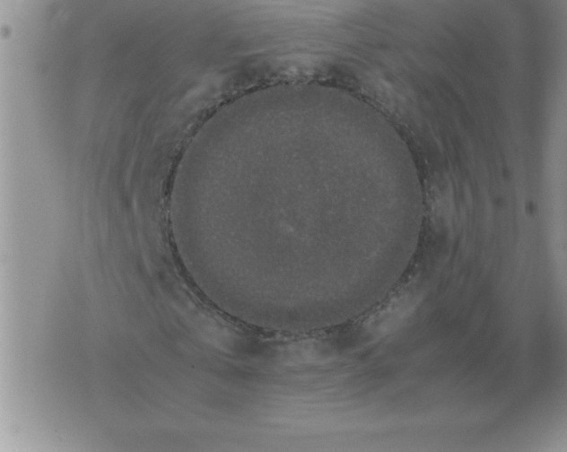 X0000071760769200607282147