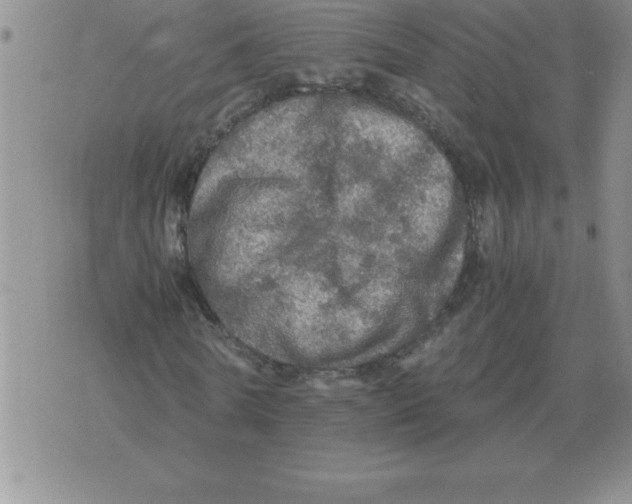 X0000071760770200607282147