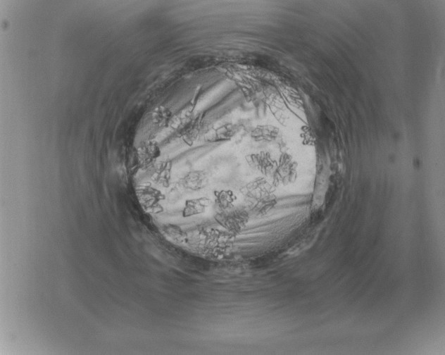 X0000071760771200607282147