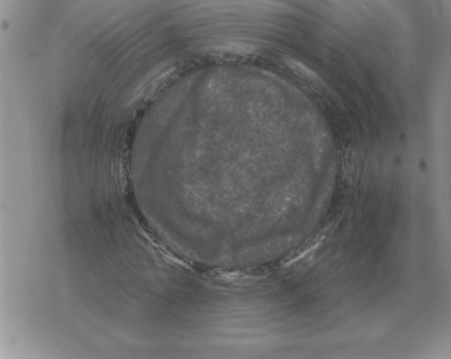 X0000071760774200607282147