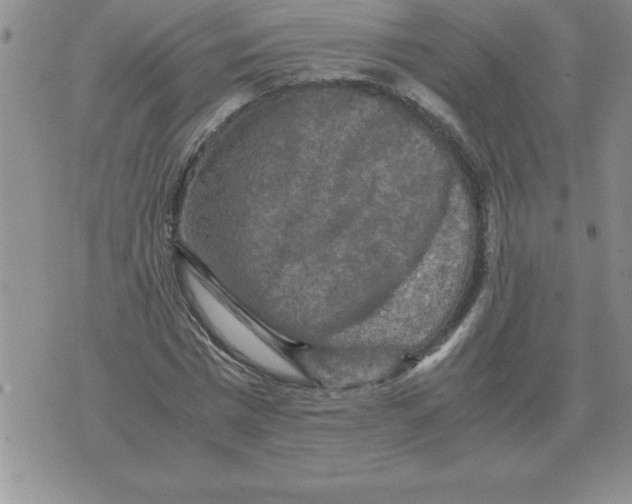 X0000071760777200607282147