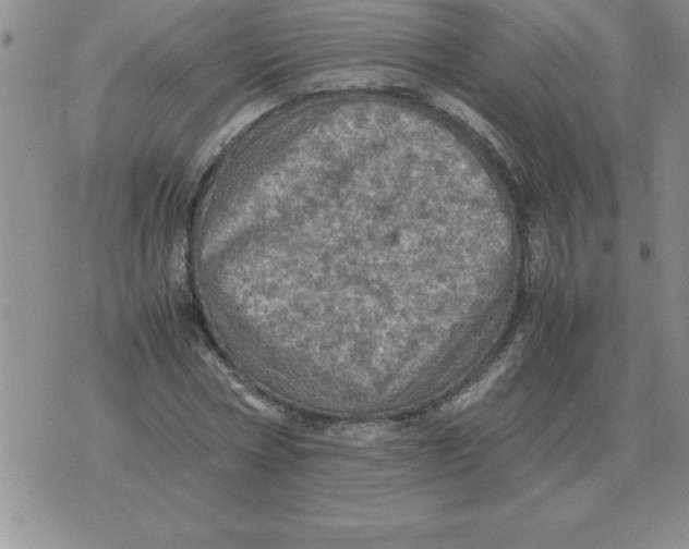 X0000071760778200607282147