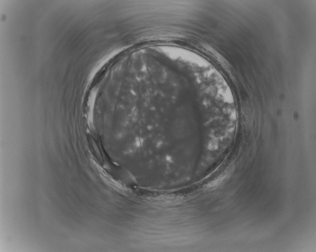 X0000071760779200607282147