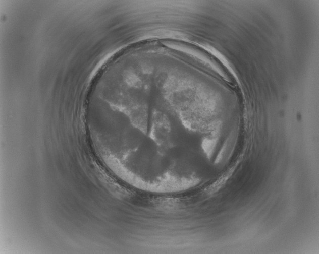 X0000071760783200607282147