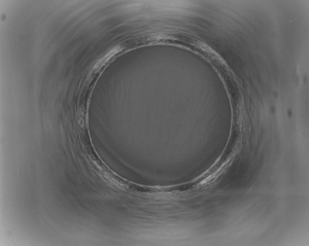 X0000071760785200607282146