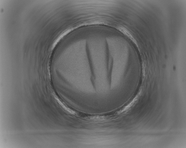 X0000071760789200607282146