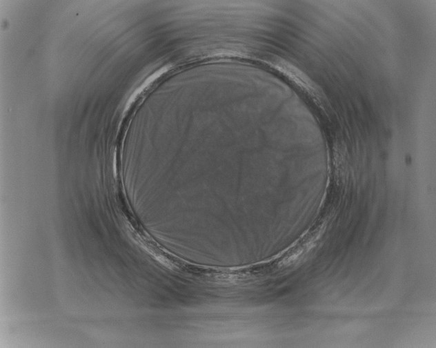 X0000071760790200607282146