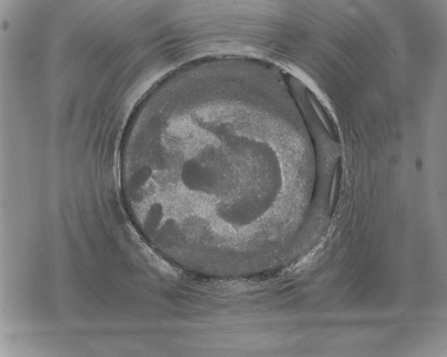 X0000071760791200607282146