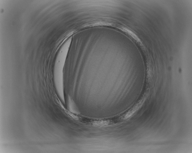 X0000071760793200607282146