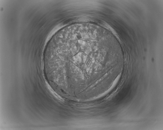 X0000071760795200607282146