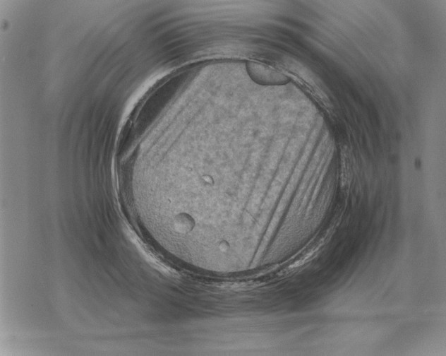 X0000071760796200607282146