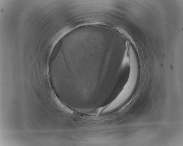 X0000071760797200607282146