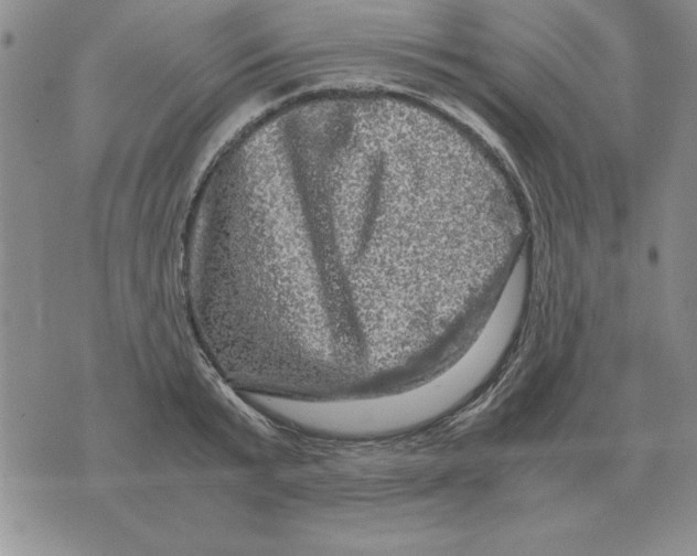 X0000071760799200607282146