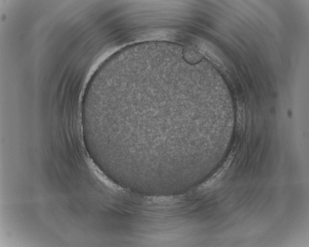 X0000071760800200607282146