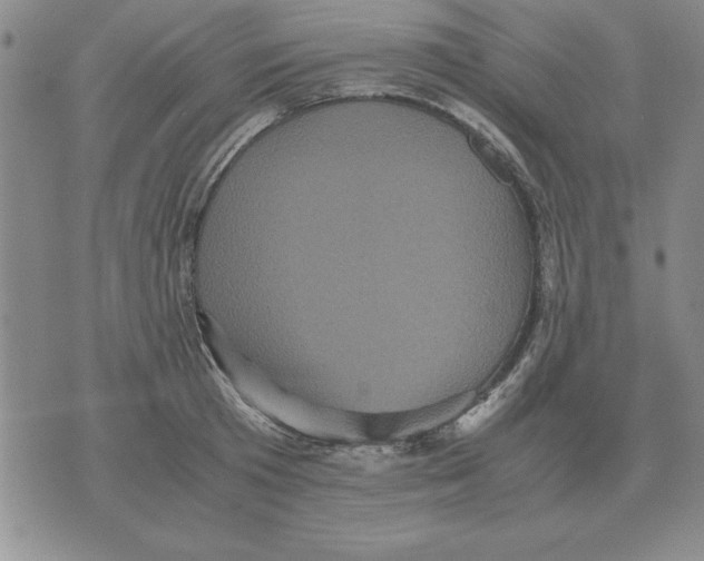 X0000071760801200607282146