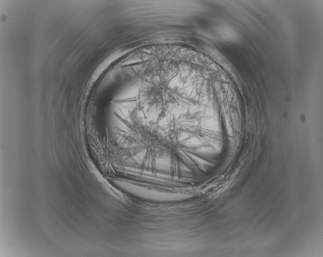 X0000071760803200607282146